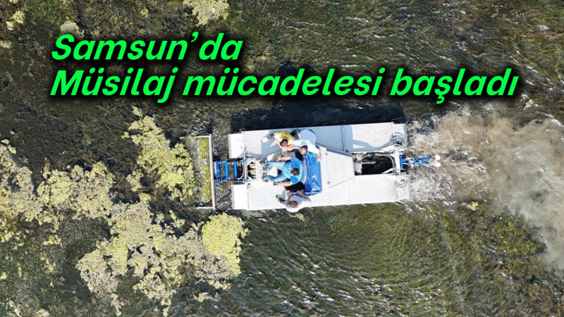  Samsun’da Müsilaj mücadelesi başladı