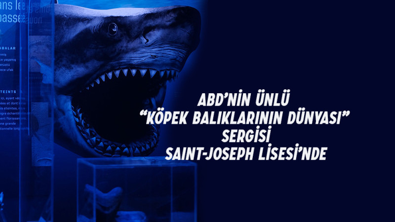 ABD’nin Ünlü “Köpek Balıklarının Dünyası” Sergisi Saint-Joseph Lisesi’nde