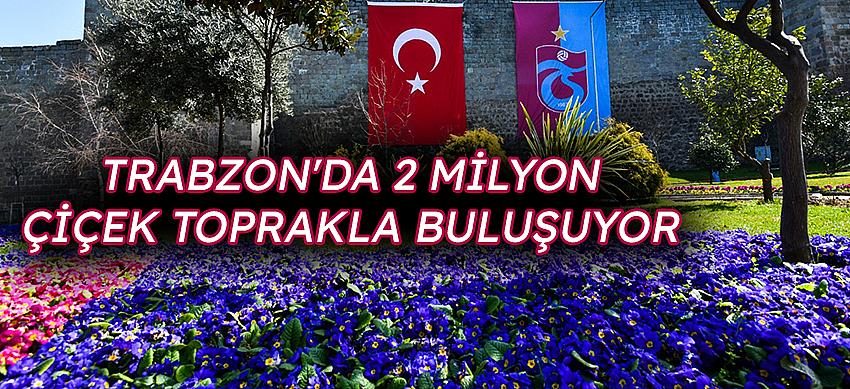 Trabzon'da 2 Milyon Çiçek Toprakla Buluşuyor