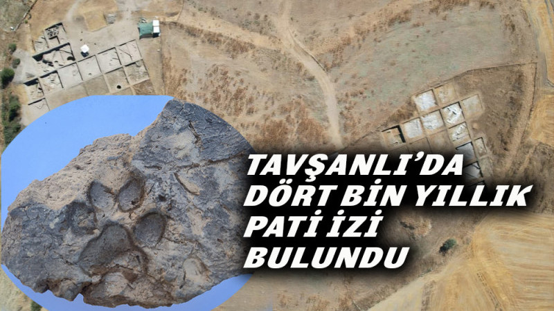 Tavşanlı’da Dört Bin Yıllık Pati İzi Bulundu