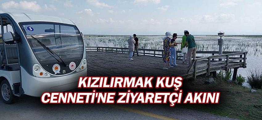 Kızılırmak Kuş Cenneti'ne ziyaretçi akını